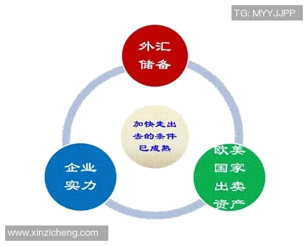 西安排球队运营的成功经验与教训分析